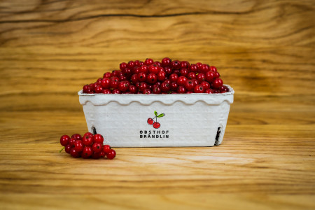 Johannisbeeren rot