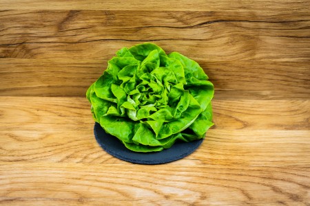 Bio Kopfsalat grün