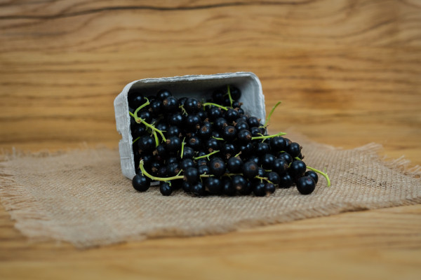 Schwarze Johannisbeeren