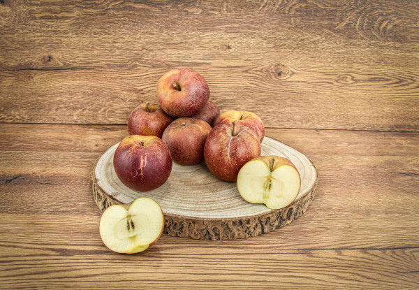 Apfel Boskoop