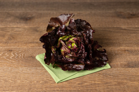 Bio Kopfsalat rot