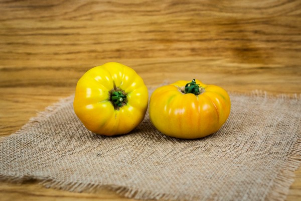 Bio Fleischtomaten gelb
