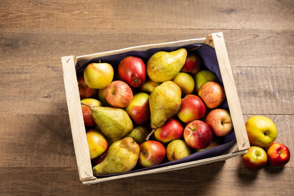 FruchtGenussKiste