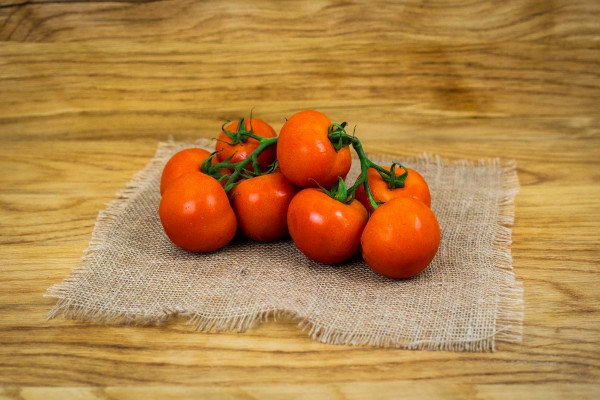 Bio Tomaten rot Strauch