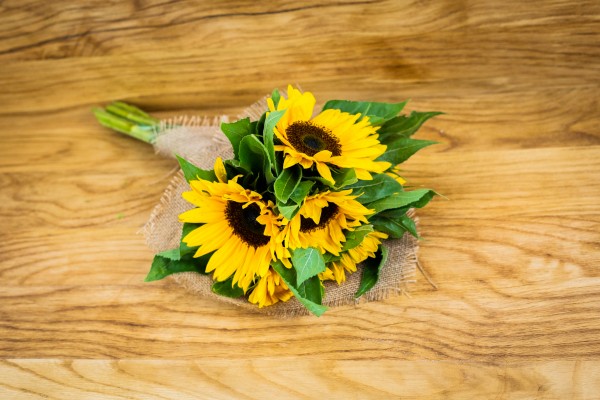 Sonnenblumen