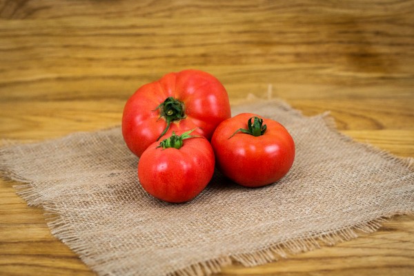 Bio Fleischtomaten Typ Berner Rose