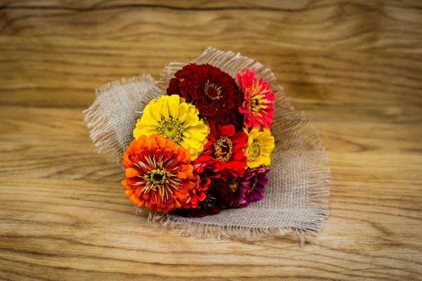 Zinnien Strauß klein