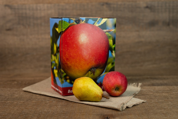 Apfel- Birnensaft Bag & Box 3,00l