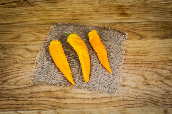 Bio Paprika spitz gelb