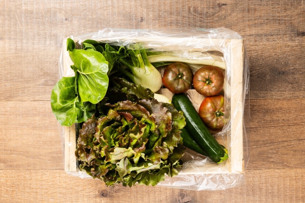 Bio-Kiste Gemüse/Salat