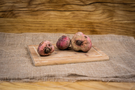 Bio Rote Bete Tondo di Chiogga