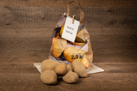 Agria Kartoffel, mehlig bis vorwiegend festkochend