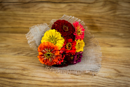 Zinnien Strauß klein
