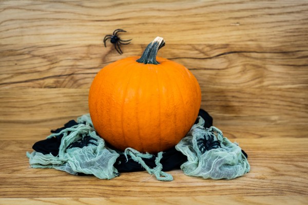 Halloween-Kürbis