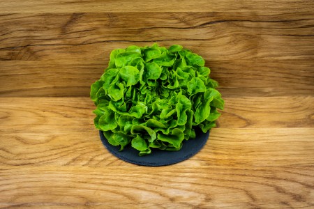 Bio Eichblattsalat grün