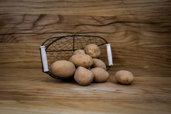 Kartoffeln mehlig Agria