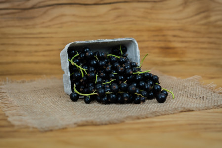 Schwarze Johannisbeeren