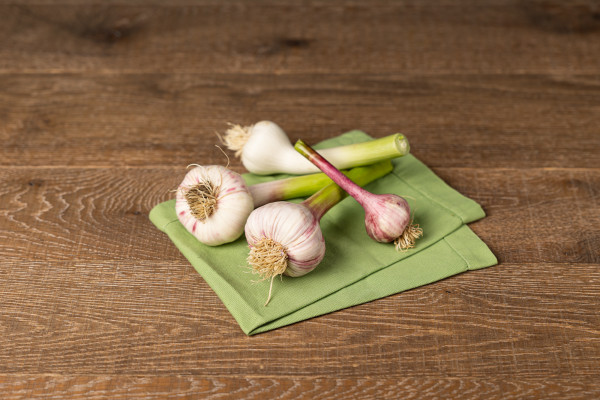 Bio Knoblauch frisch