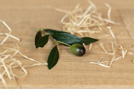 Künstlicher Olivenzweig (Dekoration)